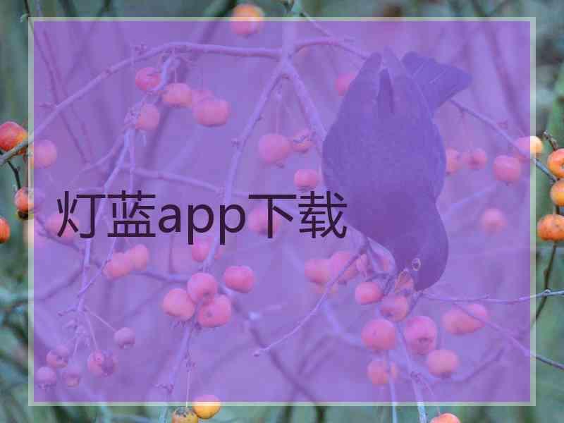 灯蓝app下载