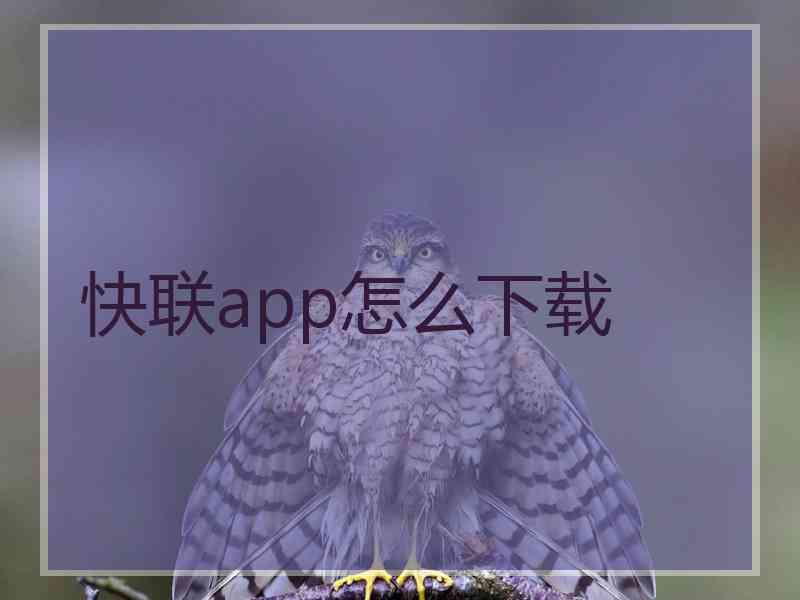 快联app怎么下载