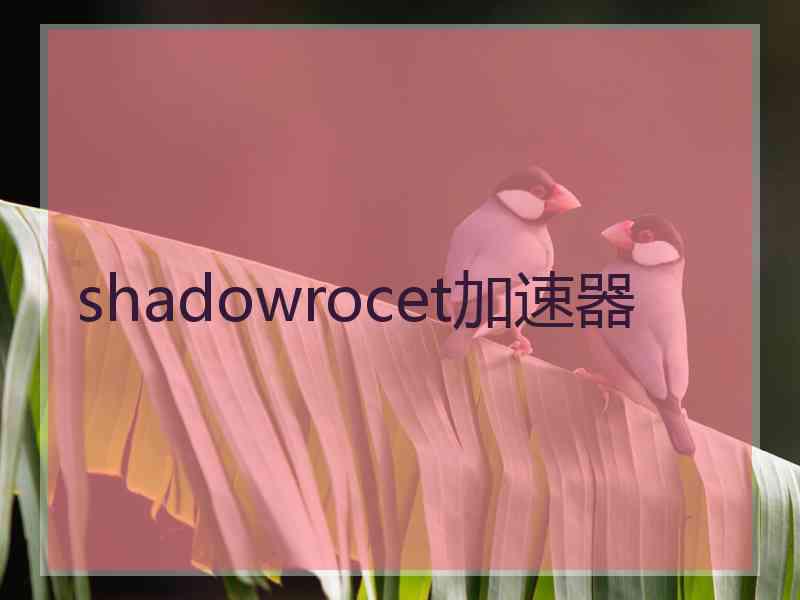 shadowrocet加速器