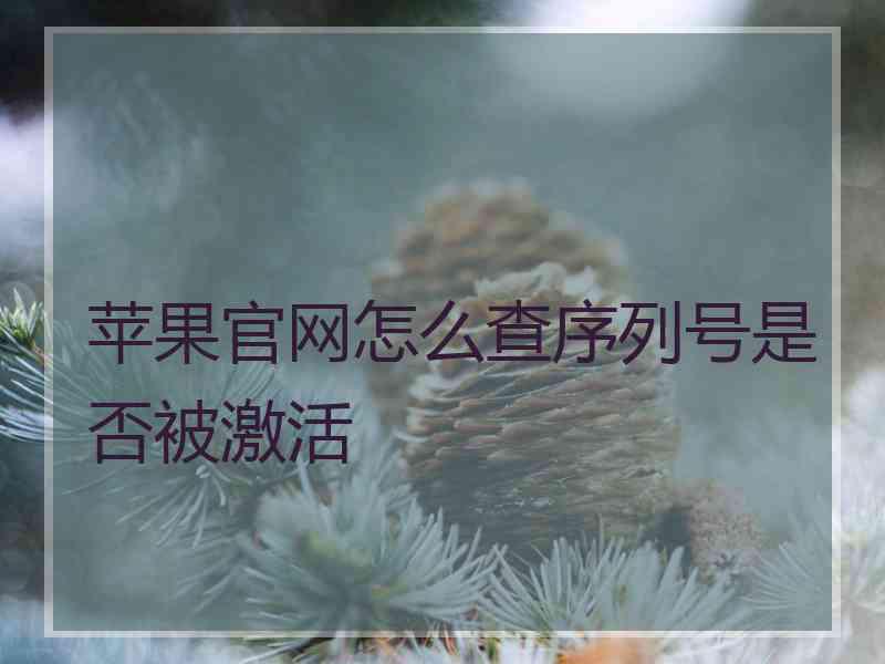 苹果官网怎么查序列号是否被激活