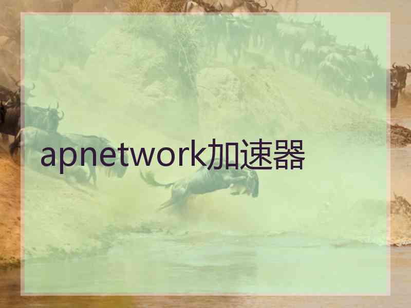 apnetwork加速器