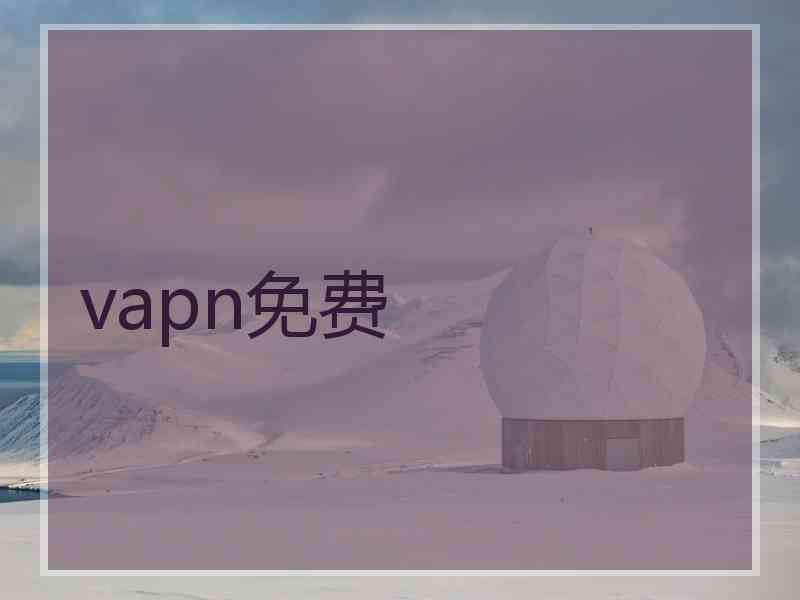 vapn免费