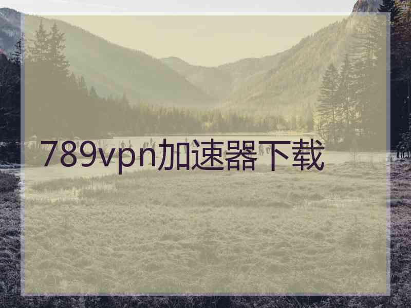 789vpn加速器下载