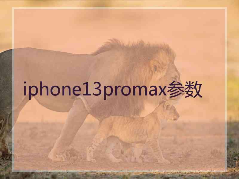 iphone13promax参数