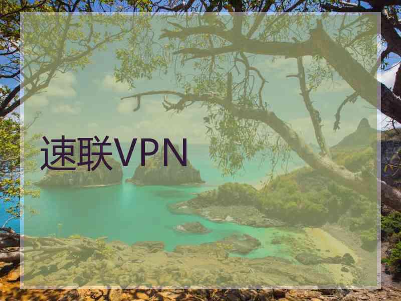 速联VPN