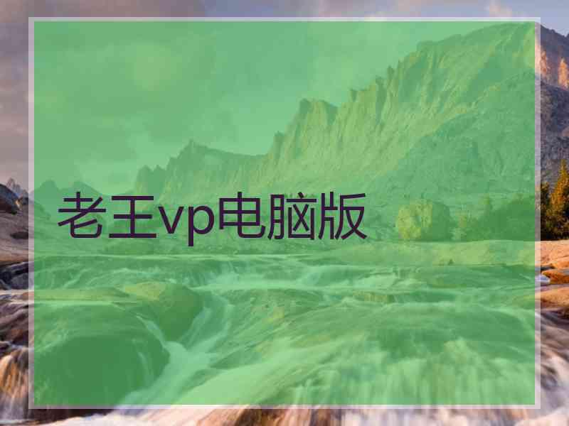 老王vp电脑版