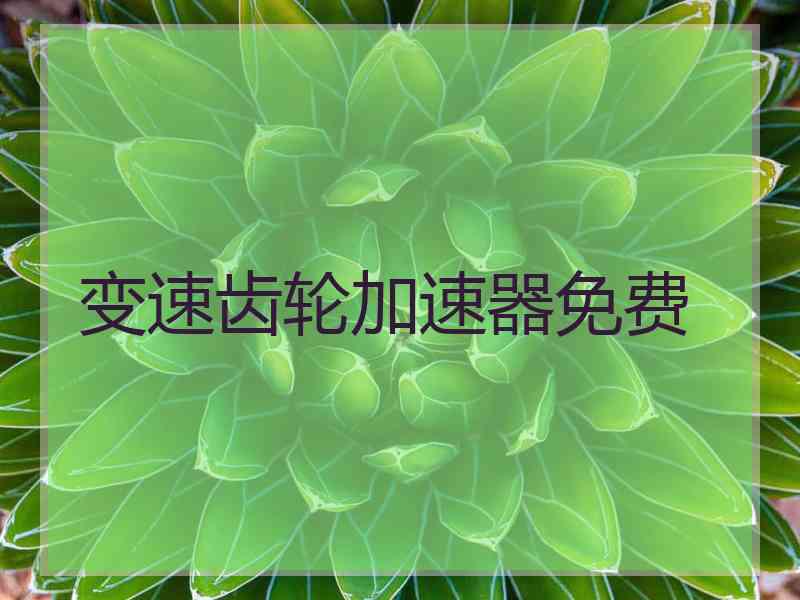 变速齿轮加速器免费