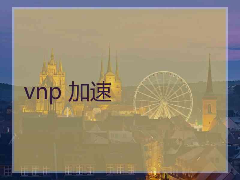 vnp 加速