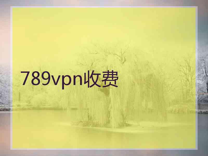 789vpn收费