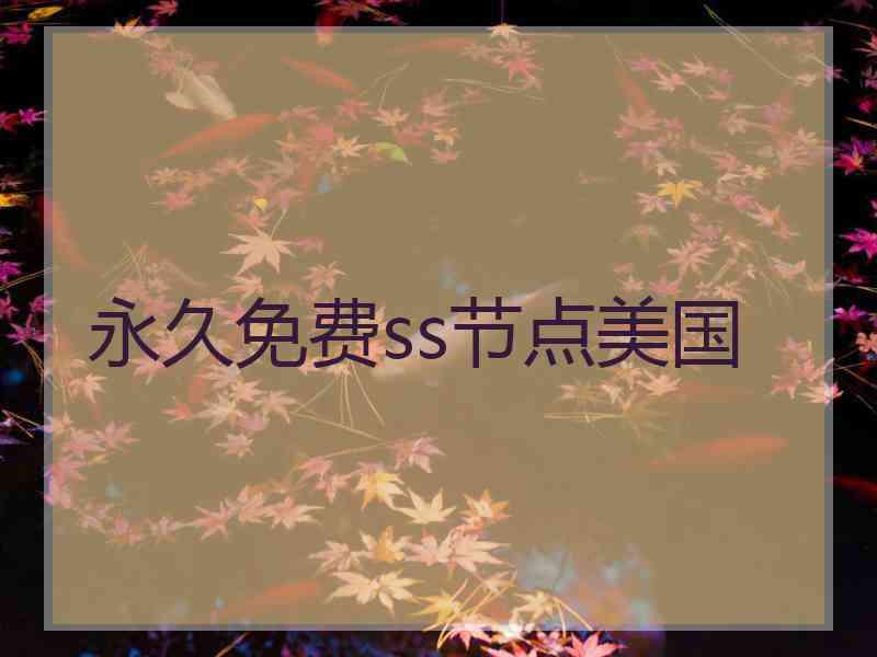 永久免费ss节点美国