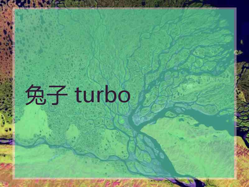 兔子 turbo