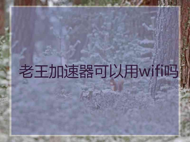 老王加速器可以用wifi吗