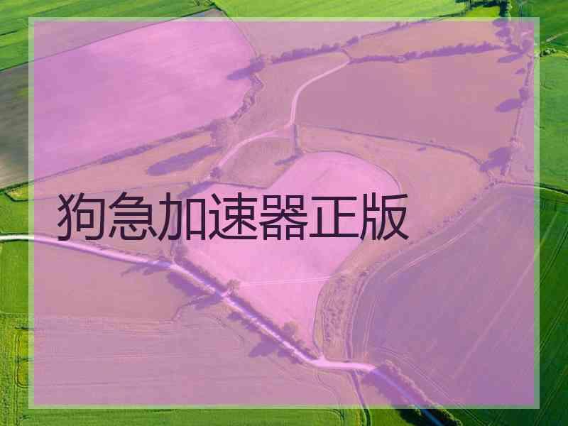 狗急加速器正版