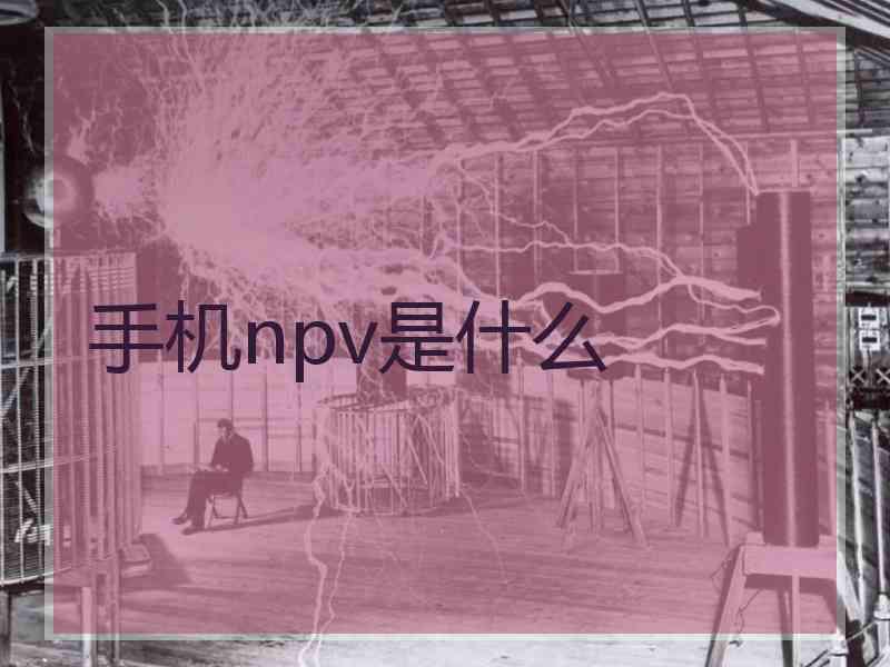 手机npv是什么