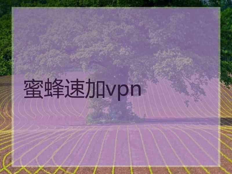 蜜蜂速加vpn