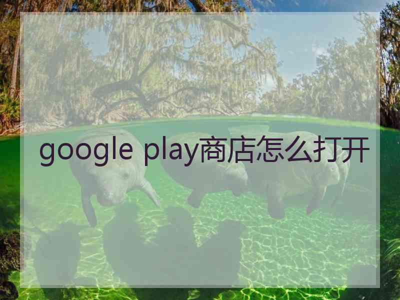 google play商店怎么打开