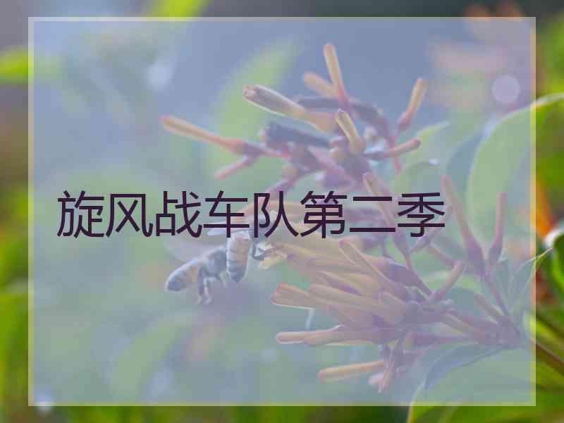 旋风战车队第二季