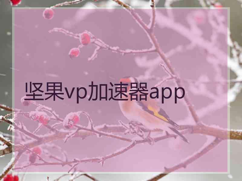 坚果vp加速器app