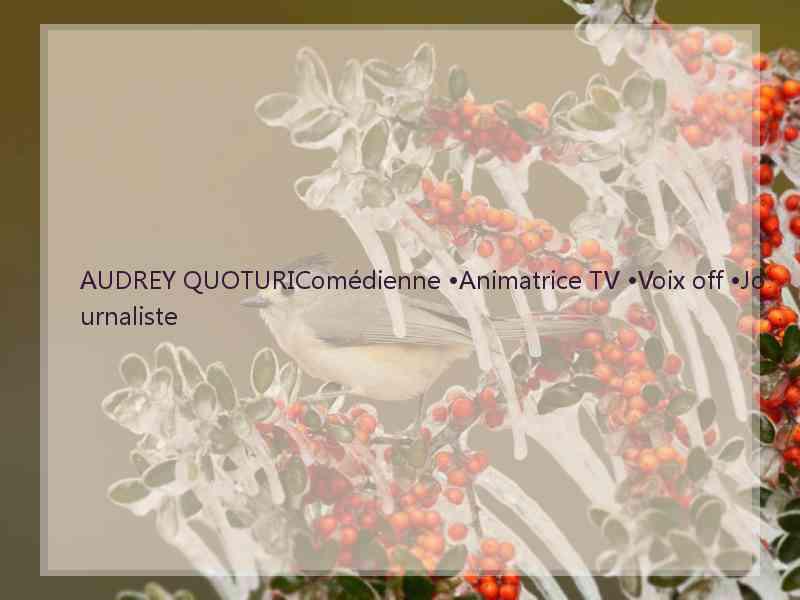 AUDREY QUOTURIComédienne •Animatrice TV •Voix off •Journaliste