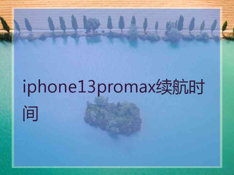 iphone13promax续航时间