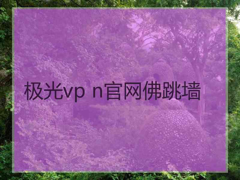 极光vp n官网佛跳墙