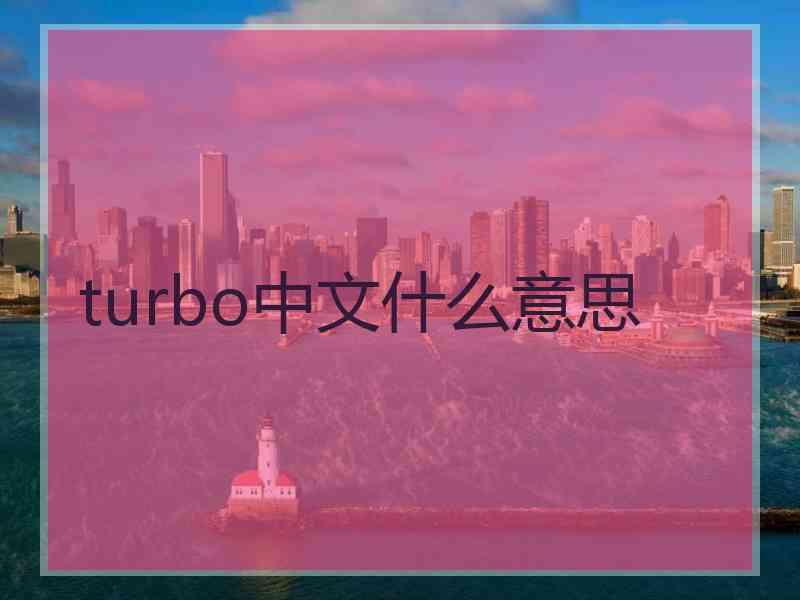 turbo中文什么意思