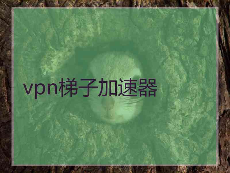 vpn梯子加速器