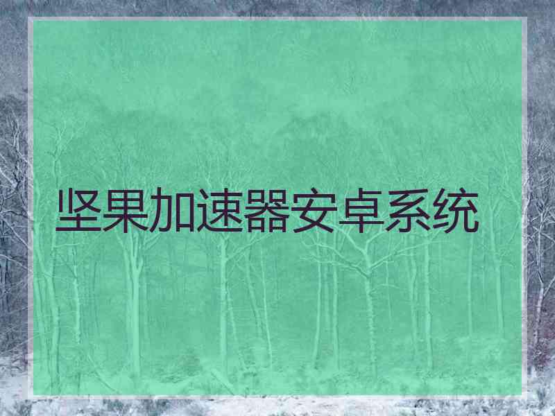 坚果加速器安卓系统