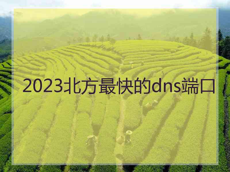 2023北方最快的dns端口