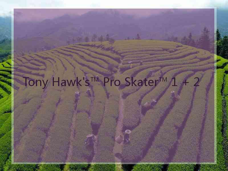 Tony Hawk's™ Pro Skater™ 1 + 2