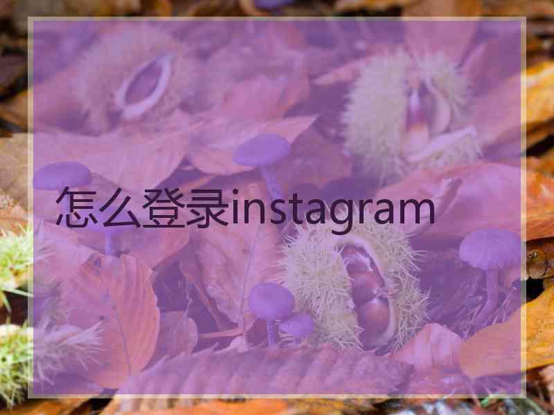 怎么登录instagram