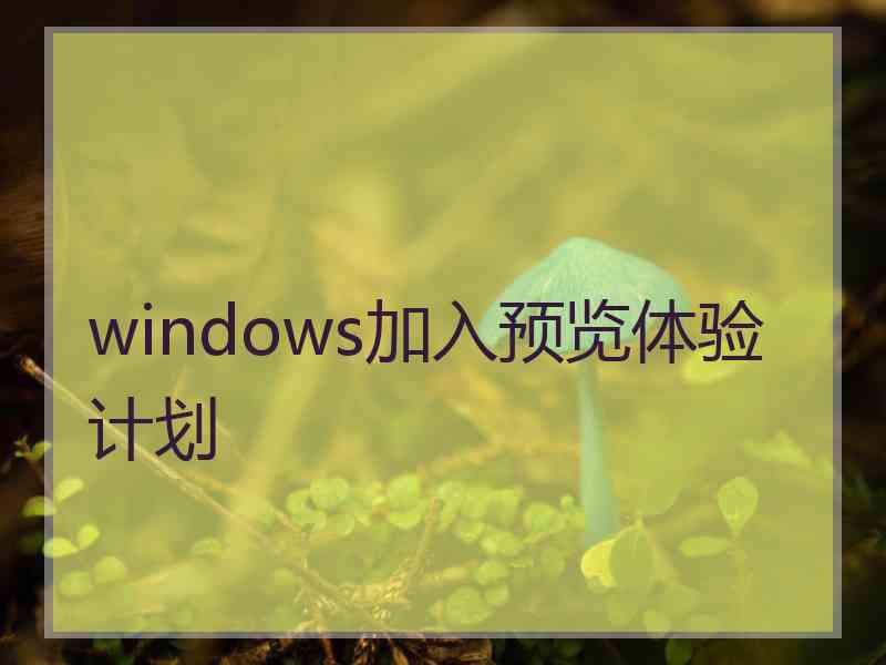 windows加入预览体验计划