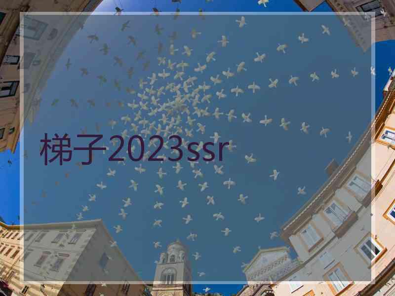 梯子2023ssr