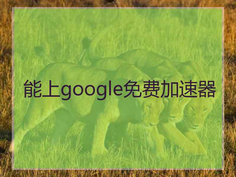 能上google免费加速器