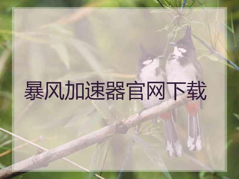 暴风加速器官网下载