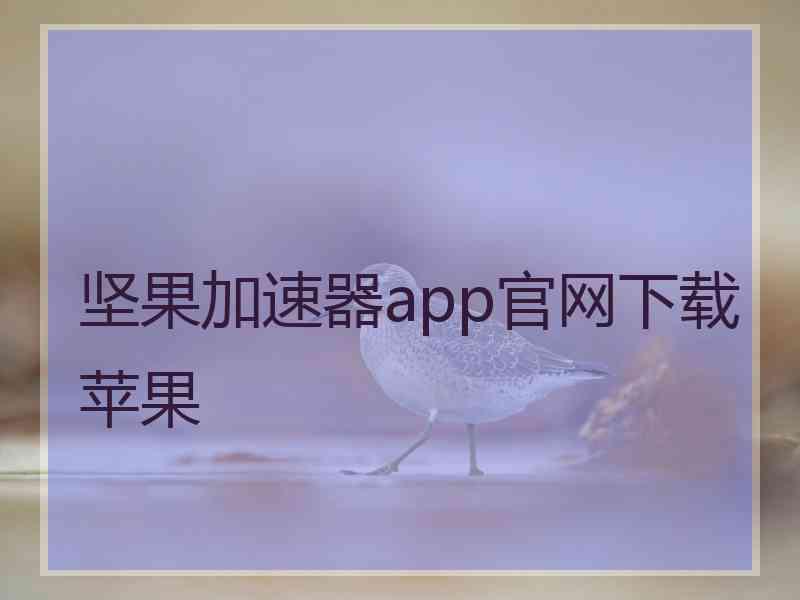 坚果加速器app官网下载苹果