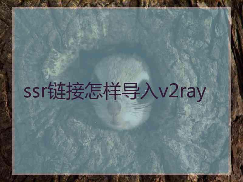 ssr链接怎样导入v2ray