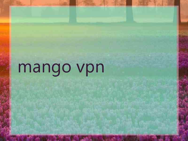 mango vpn