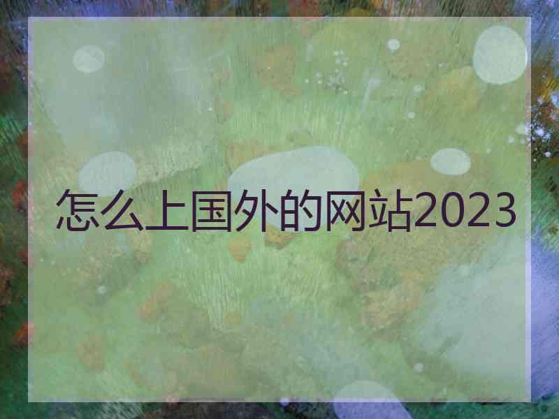 怎么上国外的网站2023