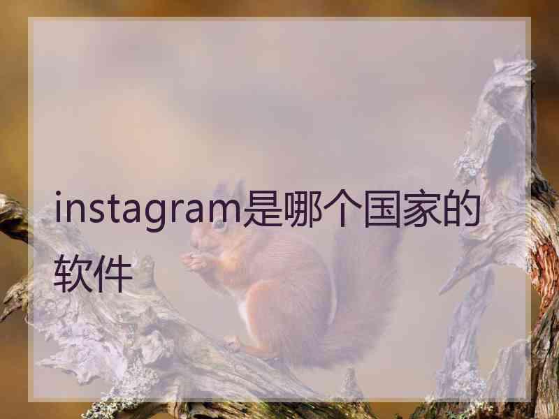 instagram是哪个国家的软件