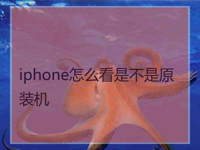 iphone怎么看是不是原装机