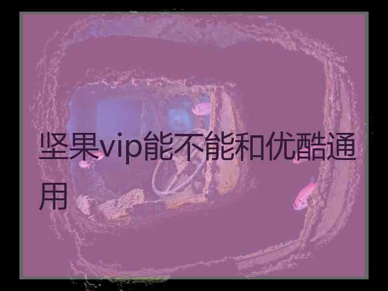 坚果vip能不能和优酷通用