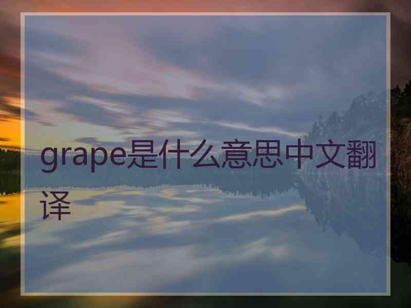 grape是什么意思中文翻译