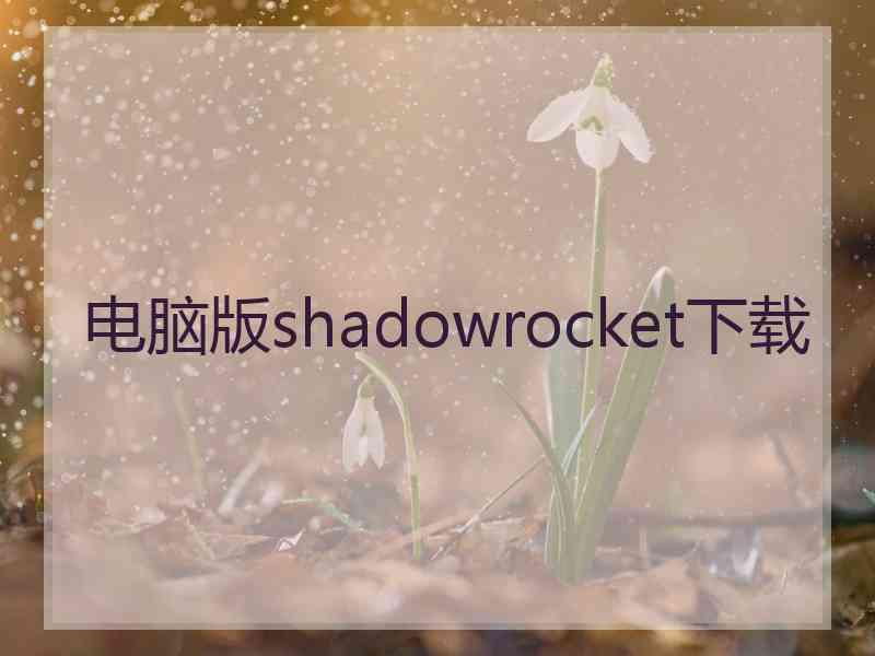 电脑版shadowrocket下载