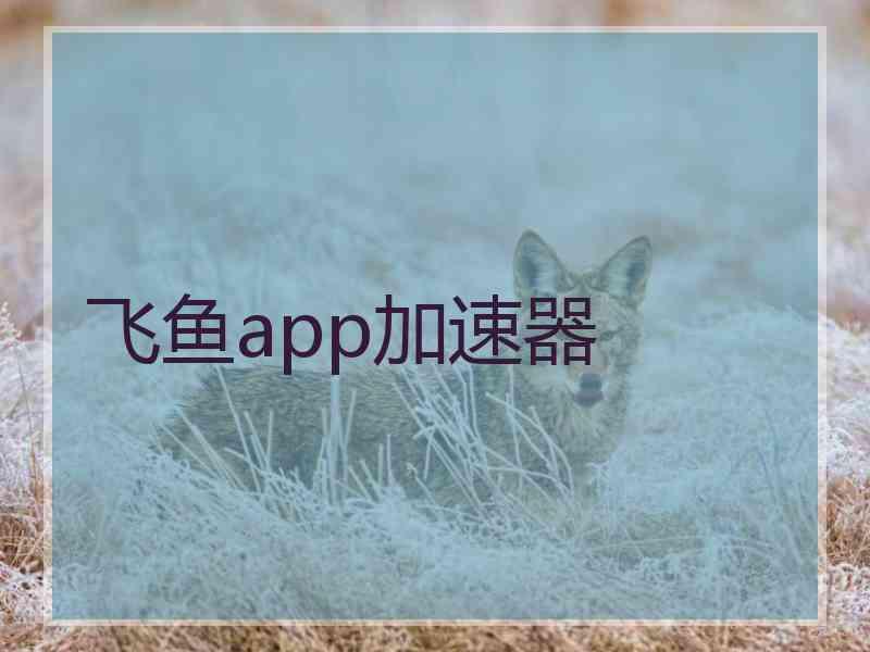 飞鱼app加速器