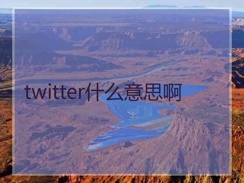 twitter什么意思啊