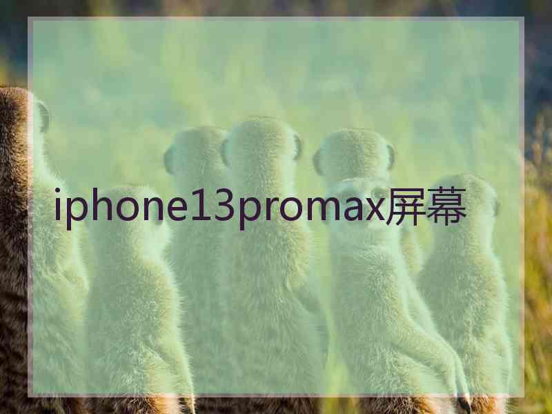 iphone13promax屏幕