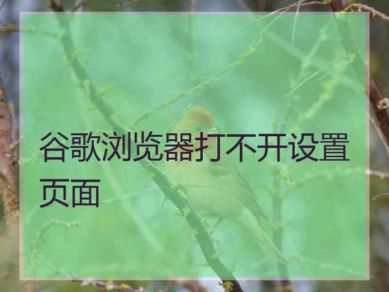 谷歌浏览器打不开设置页面