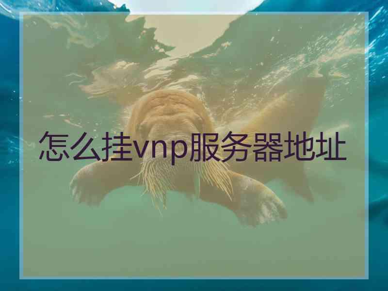 怎么挂vnp服务器地址