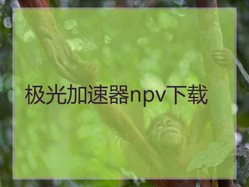 极光加速器npv下载